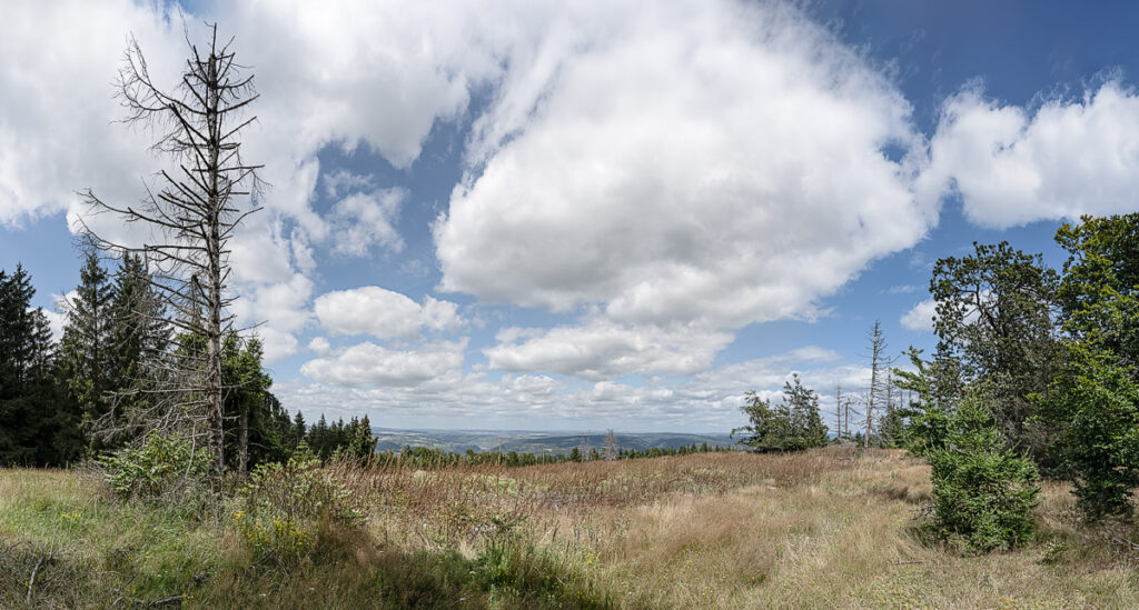 Franzosenkopf im Binger Wald (Copyright StadtfotografStromberg)